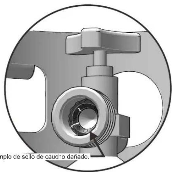 CHAR BROIL Performance 463376519 - INSPECCIÓN DEL SELLO DE GOMA DEL CILINDRO DE GAS LP. - 2