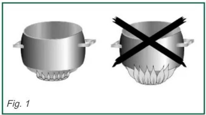 SAUTER SPG9465W - Conseils - 1