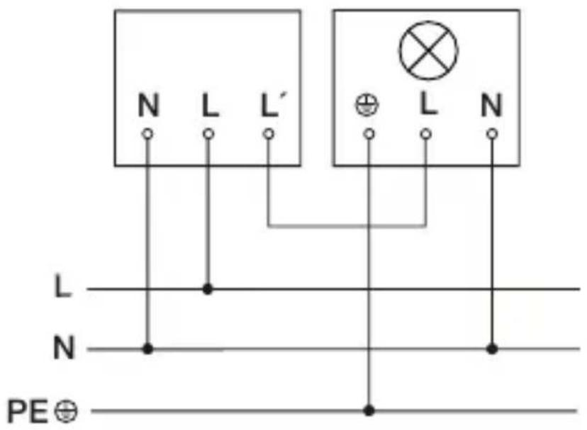 N L L' ⊕ L N L N PE⊕