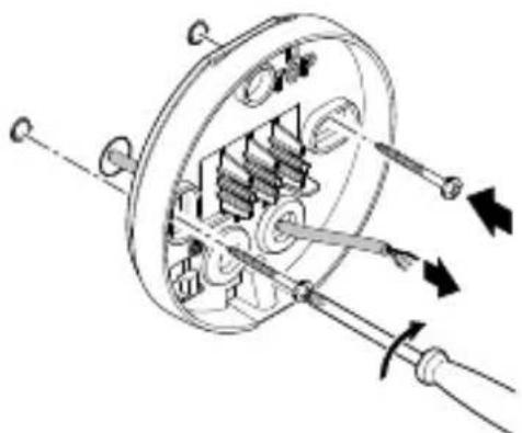 STEINEL Spot DUO - 3.3 - 19