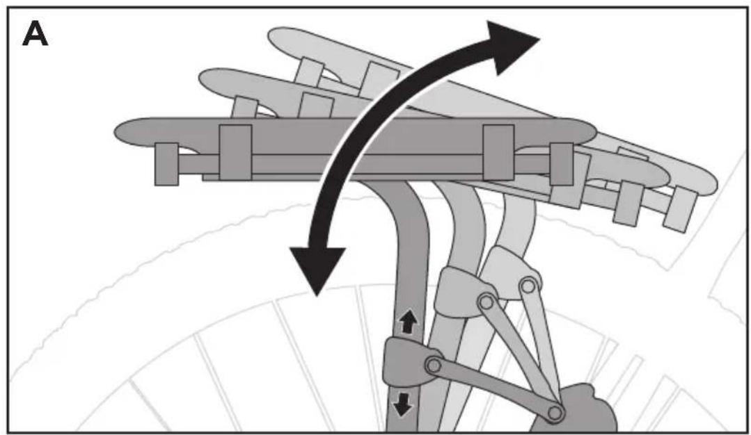 THULE Pack 'n Pedal 100016 - > Instructions - 13