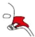 CYBEX Anoris T iSize - Sttulynwhy nnuwgh uhuwl untnwnpnlf - 1
