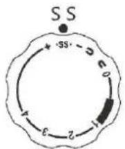 SINGER SM024 - Point nid d'abeille/smocking - 4