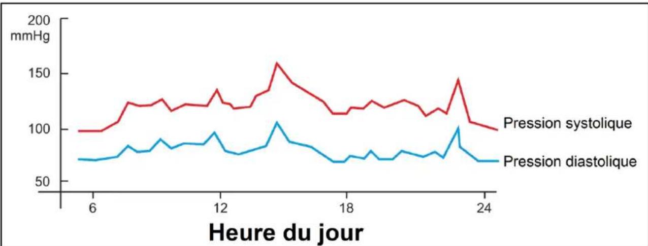 Orbegozo TES 3650 - Santé et pression sanguine - 1