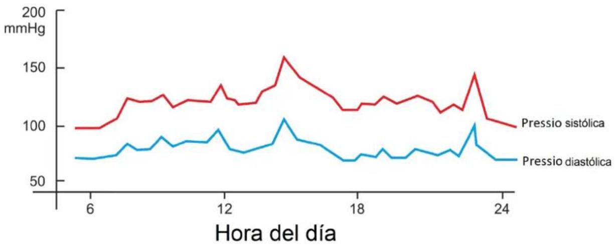 Orbegozo TES 3650 - Salut i pressió sanguínia - 1