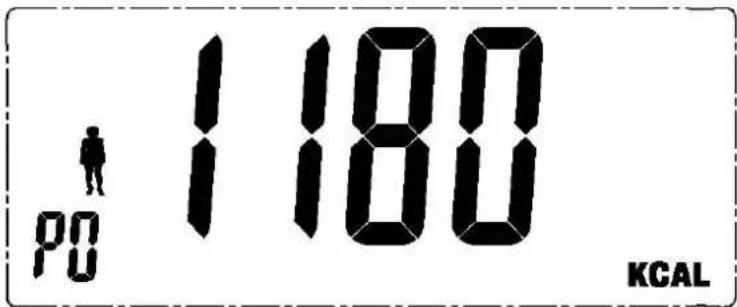 1180 PG KGAL