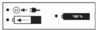 PARKSIDE PSTKA 12 B3 - Symbols on the recharger - 8