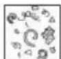 PARKSIDE PWD 12 A1 - Pictograms regarding the use of nozzles and filters - 7