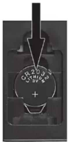 CR203 LTH163 +