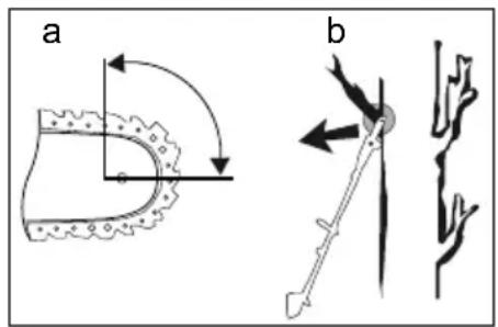 PARKSIDE PGKGA 40Li B2 - Kickback causes and how to avoid them with pole-mounted pruners - 1