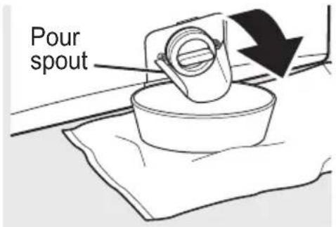 Pour spout