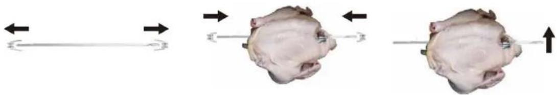 CASO TO 20 SilverStyle - Use of rotisserie - 1