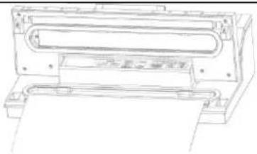 CASO FastVac 4008 - Vacuumverpakken in een zakje van de rol - 4