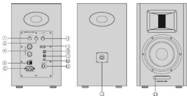 EDIFIER AirPulse A300 - Speaker Illustration - 1