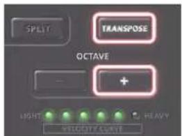 ROLAND A88MKII - Modification de la hauteur en demi-tons (Transpose) - 2
