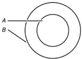 KITCHENAID KCIG550JBL - EXTENDIBLE ZONE (DOUBLE ZONE) - 1