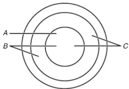 KITCHENAID KCES950KBL - Dual/Triple Element - 1