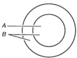 KITCHENAID KCES950KBL - Elemento doble - 1