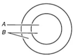 KITCHENAID KCES950KBL - Élément double - 1