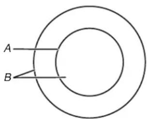 KITCHENAID KCES950KBL - Dual/Triple Element - 2
