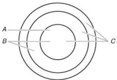 WHIRLPOOL WCE97US0KB - Elemento doble/triple - 1