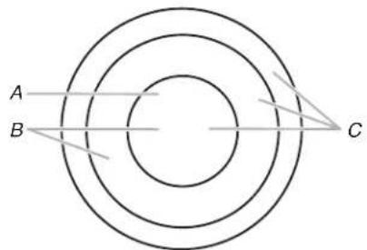WHIRLPOOL WCE97US0KB - Dual/Triple Element - 1