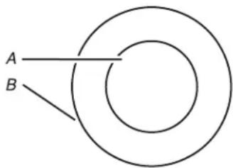 KITCHENAID KCIG956JSS - EXTENDIBLE ZONE (DOUBLE ZONE) - 1