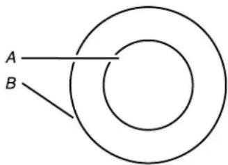 KITCHENAID KCIG556JSS - EXTENDIBLE ZONE (DOUBLE ZONE) - 1