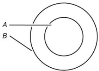 KITCHENAID KCIG950JSS - EXTENDIBLE ZONE (DOUBLE ZONE) - 1