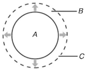 WHIRLPOOL WFE515S0JS - Vidrio de cerámica - 1