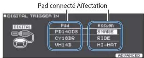 ROLAND VAD506 - Signaler un pad à connexion numérique (DIGITAL) - 1