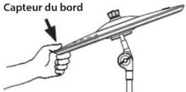 Capteur du bord