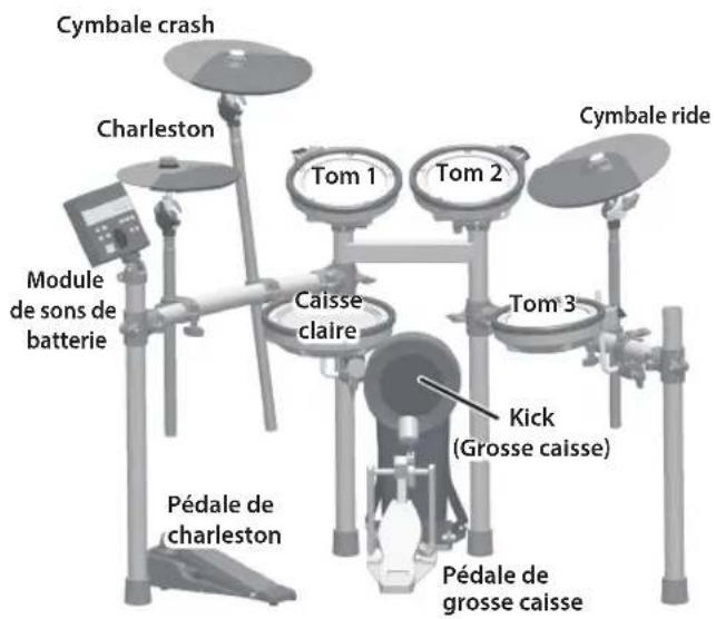 Cymbale crash Charleston Module de sons de batterie Pédale de charleston Tom 1 Caisse claire Tom 2 Cymbale ride Tom 3 Kick (Grosse caisse) Pédale de grosse caisse