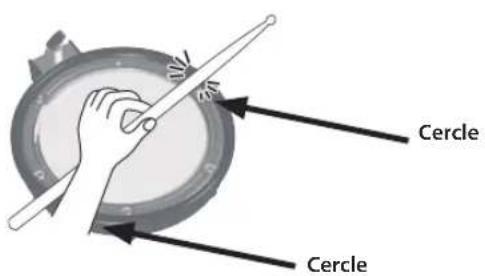 Cercle Cercle