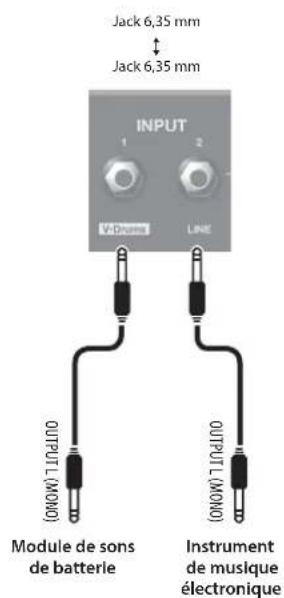ROLAND PM100 - Commutateur [DIRECT OUT] - 3