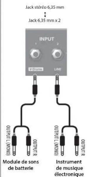 ROLAND PM100 - Commutateur [DIRECT OUT] - 2