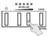 ROLAND FP10 - REMARQUE - 3