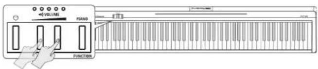 ROLAND FP10 - Réglage du volume - 1