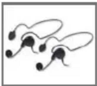 MIDLAND XTalker T51VP4 - ACCESSOIRES - 4