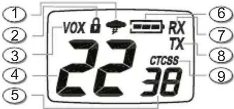 MIDLAND XTalker T31VP - ECRAN LCD - 1