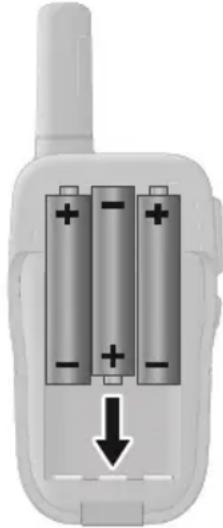 OLYMPIA PMR 1208 - Torotheon natapiw - 1