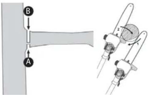 FLORABEST FAHE 18 B2 - Sawing off larger branches - 1