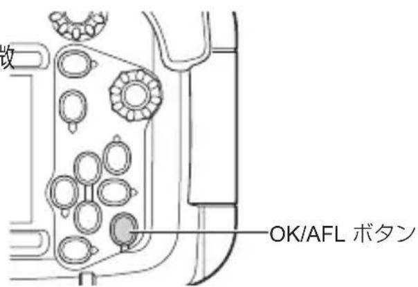 OLYMPUS PT059 - 水中撮影シーン時の AF ロックについて - 1