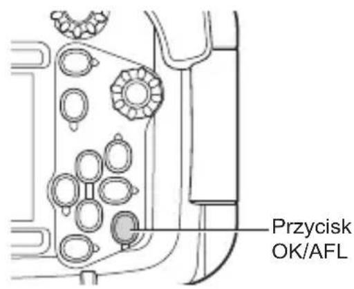 OLYMPUS PT059 - Blokowanie automatycznego ustawiania ostrości podczas robienia zdjęć pod wodą - 1