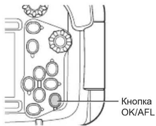OLYMPUS PT059 - Блокировка AF при подводной съемке - 1