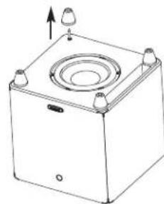 POLK DSW PRO 550wi - Patas y puas de alfombra - 2