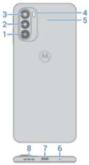 MOTOROLA Moto G31 - À propos de votre matériel - 2