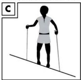 Rocktrail IAN 73605 - Laufen auf Querungen (Abb. C) - 1