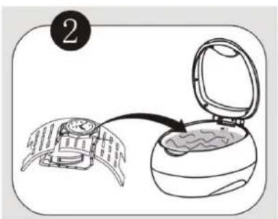 CASO UltraSonicClean Disc - Insert incurvé - 1