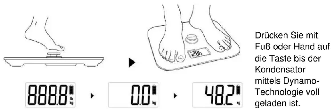 CASO Body Energy Ecostyle - Energieversorgung - 1